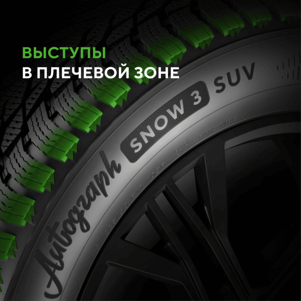 Шина IKON Tyres Autograph Snow 3 SUV 275/55 R20 117R XL