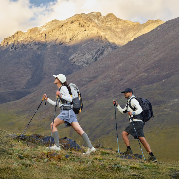 Палки треккинговые Naturehike Sunsia 3-EXT, карбон, 5-секционные, 115-135 см, фиолетовые, 2 шт