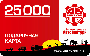 Карта подарочная 25000 Карта подарочная 25000